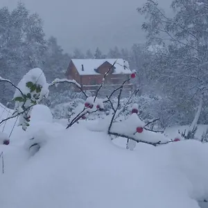 https://chalet-bois-au-milieu-des-pyrenees.midi-pyreneeshotels.com